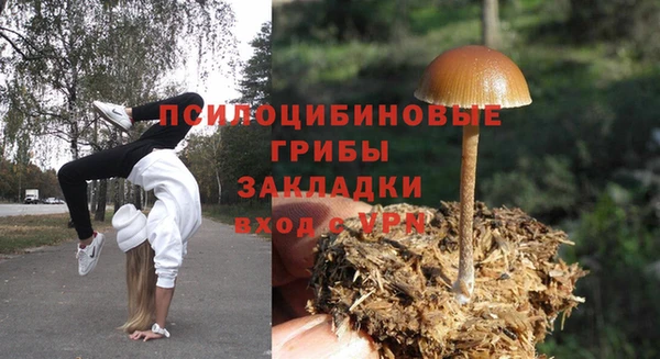 эйфоретик Алексеевка